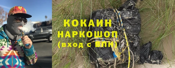a pvp Новозыбков