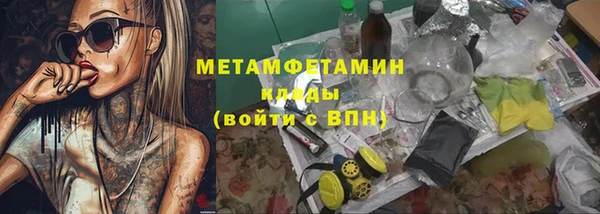 индика Волосово