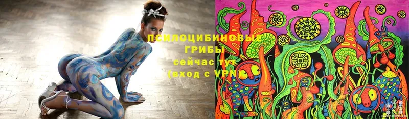 Псилоцибиновые грибы мицелий  Тулун 