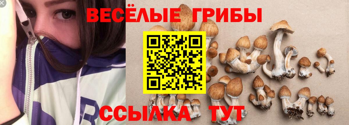 Галлюциногенные грибы GOLDEN TEACHER Тулун