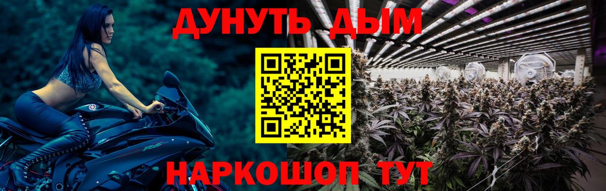 Бошки Шишки THC 21% Тулун